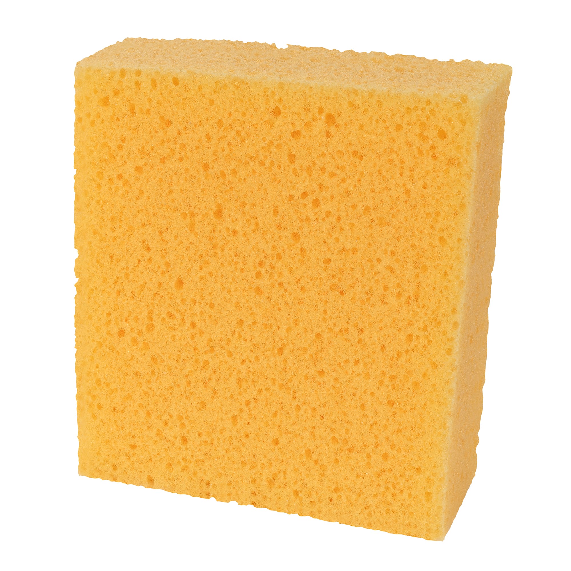 Pro Square All-Purpose Irregular Sponge Value Box (10 pack) - 5