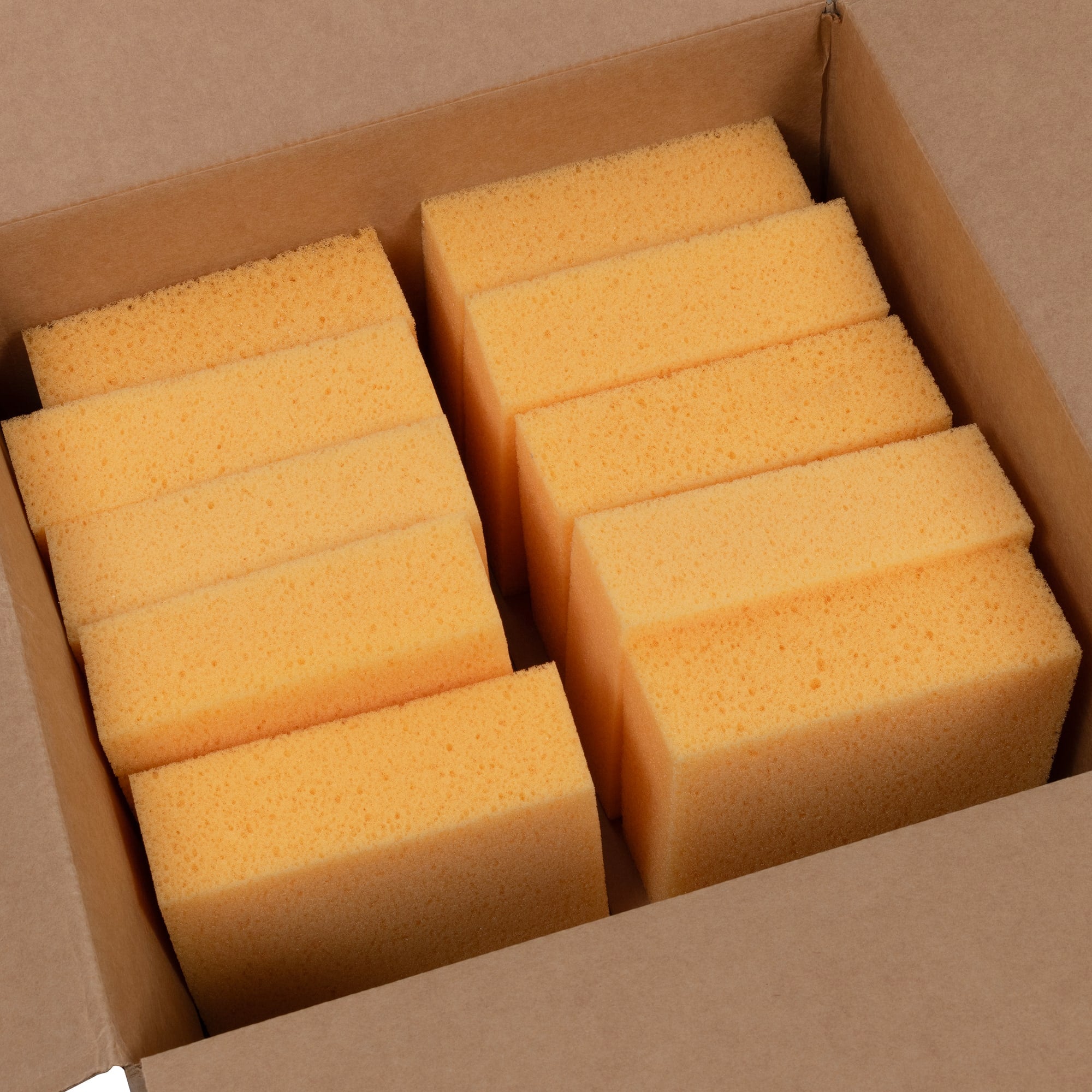 Pro Square All-Purpose Irregular Sponge Value Box (10 pack) - 6