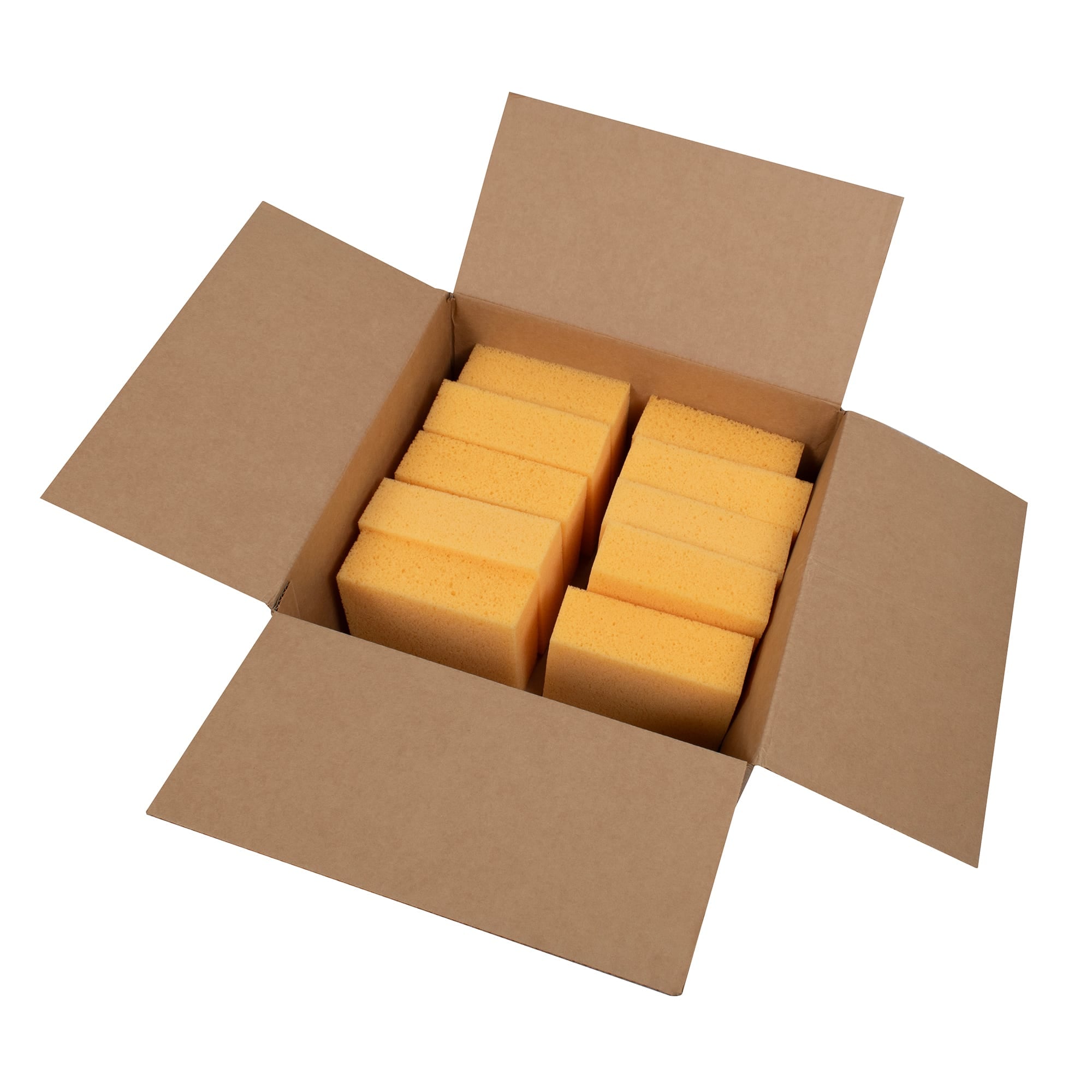 Pro Square All-Purpose Irregular Sponge Value Box (10 pack) - 7